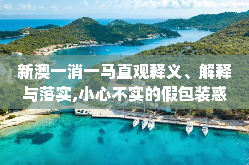 新澳一消一馬直觀釋義、解釋與落實(shí),小心不實(shí)的假包裝惑