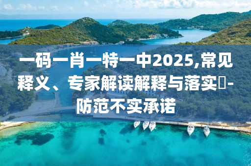 一碼一肖一特一中2025,常見釋義、專家解讀解釋與落實?-防范不實承諾