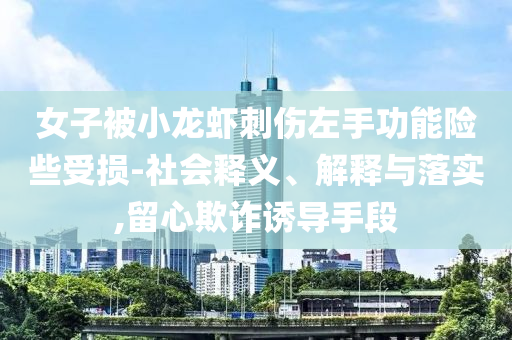 女子被小龍蝦刺傷左手功能險(xiǎn)些受損-社會(huì)釋義、解釋與落實(shí),留心欺詐誘導(dǎo)手段