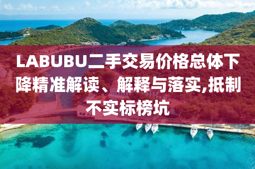 LABUBU二手交易價(jià)格總體下降精準(zhǔn)解讀、解釋與落實(shí),抵制不實(shí)標(biāo)榜坑
