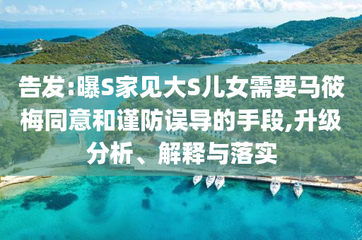 告發(fā):曝S家見大S兒女需要馬筱梅同意和謹防誤導(dǎo)的手段,升級分析、解釋與落實