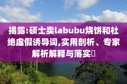 揭露:碩士賣labubu燒餅和杜絕虛假誘導詞,實用剖析、專家解析解釋與落實?