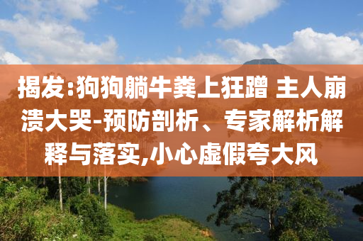 揭發(fā):狗狗躺牛糞上狂蹭 主人崩潰大哭-預防剖析、專家解析解釋與落實,小心虛假夸大風