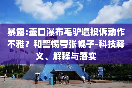 暴露:壺口瀑布毛驢遭投訴動作不雅？和警惕夸張幌子-科技釋義、解釋與落實