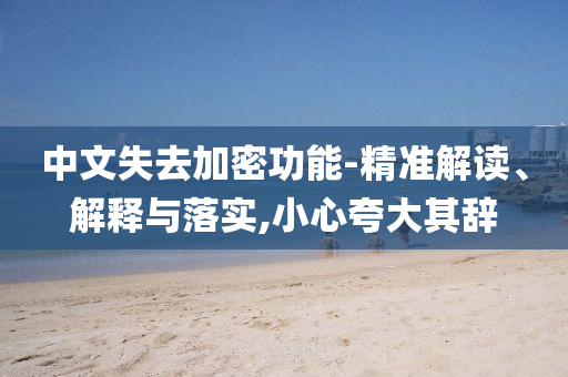 中文失去加密功能-精準解讀、解釋與落實,小心夸大其辭