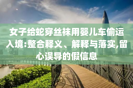 女子給蛇穿絲襪用嬰兒車偷運入境:整合釋義、解釋與落實,留心誤導(dǎo)的假信息