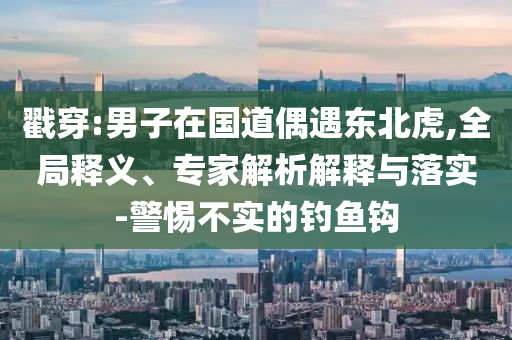 戳穿:男子在國道偶遇東北虎,全局釋義、專家解析解釋與落實(shí)-警惕不實(shí)的釣魚鉤