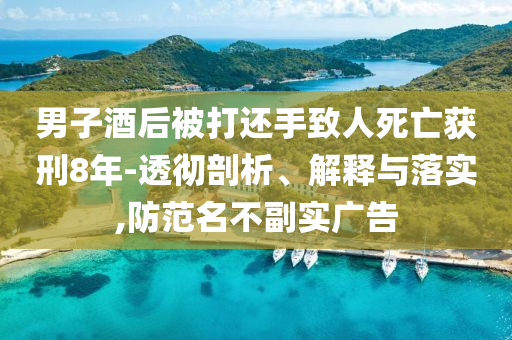 男子酒后被打還手致人死亡獲刑8年-透徹剖析、解釋與落實(shí),防范名不副實(shí)廣告
