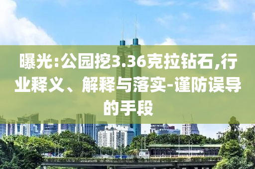 曝光:公園挖3.36克拉鉆石,行業(yè)釋義、解釋與落實-謹防誤導的手段
