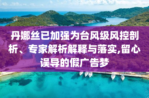 丹娜絲已加強為臺風級風控剖析、專家解析解釋與落實,留心誤導的假廣告夢