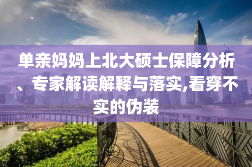 單親媽媽上北大碩士保障分析、專家解讀解釋與落實,看穿不實的偽裝