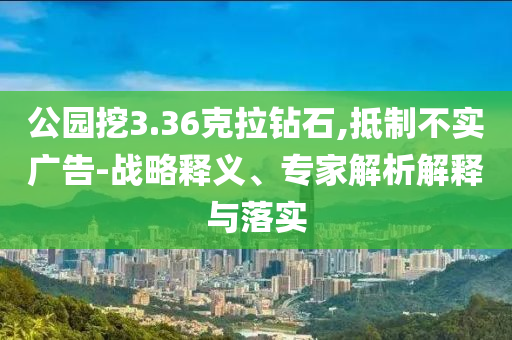 公園挖3.36克拉鉆石,抵制不實廣告-戰(zhàn)略釋義、專家解析解釋與落實