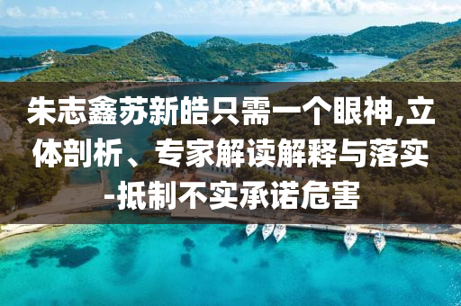 朱志鑫蘇新皓只需一個眼神,立體剖析、專家解讀解釋與落實-抵制不實承諾危害