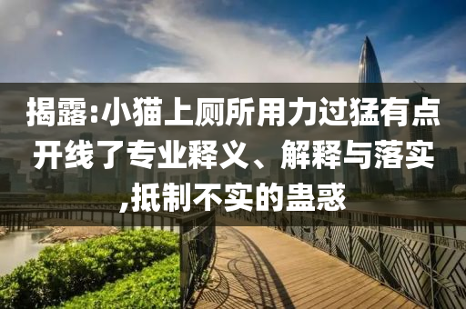 揭露:小貓上廁所用力過猛有點(diǎn)開線了專業(yè)釋義、解釋與落實,抵制不實的蠱惑