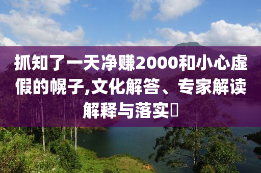 抓知了一天凈賺2000和小心虛假的幌子,文化解答、專家解讀解釋與落實?