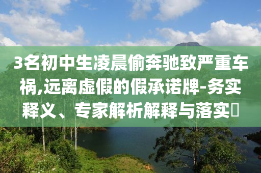 3名初中生凌晨偷奔馳致嚴(yán)重車禍,遠(yuǎn)離虛假的假承諾牌-務(wù)實(shí)釋義、專家解析解釋與落實(shí)?