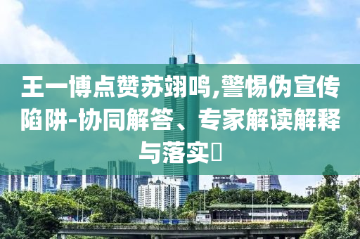 王一博點贊蘇翊鳴,警惕偽宣傳陷阱-協(xié)同解答、專家解讀解釋與落實?