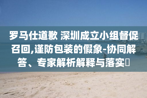 羅馬仕道歉 深圳成立小組督促召回,謹(jǐn)防包裝的假象-協(xié)同解答、專家解析解釋與落實(shí)?