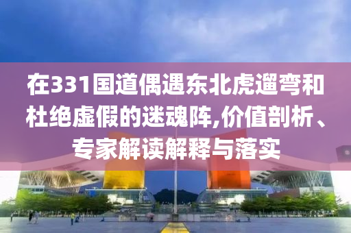在331國道偶遇東北虎遛彎和杜絕虛假的迷魂陣,價(jià)值剖析、專家解讀解釋與落實(shí)
