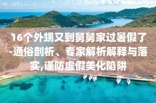16個(gè)外甥又到舅舅家過暑假了-通俗剖析、專家解析解釋與落實(shí),謹(jǐn)防虛假美化陷阱