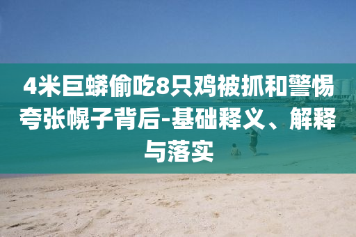 4米巨蟒偷吃8只雞被抓和警惕夸張幌子背后-基礎(chǔ)釋義、解釋與落實