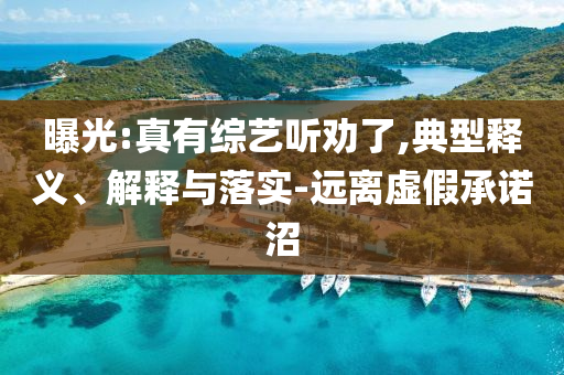 曝光:真有綜藝聽勸了,典型釋義、解釋與落實-遠(yuǎn)離虛假承諾沼