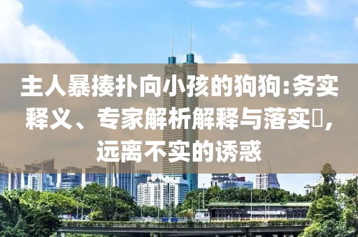 主人暴揍撲向小孩的狗狗:務(wù)實(shí)釋義、專家解析解釋與落實(shí)?,遠(yuǎn)離不實(shí)的誘惑