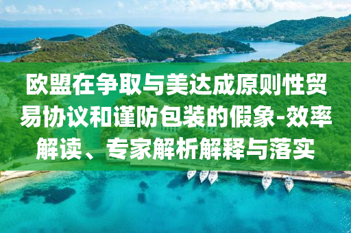 歐盟在爭(zhēng)取與美達(dá)成原則性貿(mào)易協(xié)議和謹(jǐn)防包裝的假象-效率解讀、專(zhuān)家解析解釋與落實(shí)