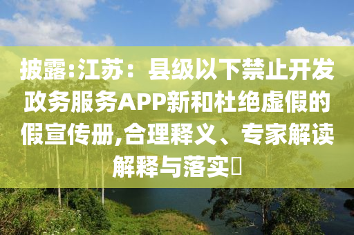 披露:江蘇：縣級以下禁止開發(fā)政務(wù)服務(wù)APP新和杜絕虛假的假宣傳冊,合理釋義、專家解讀解釋與落實?