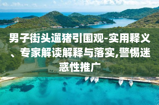 男子街頭遛豬引圍觀-實(shí)用釋義、專家解讀解釋與落實(shí),警惕迷惑性推廣