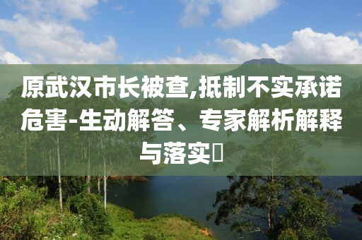 原武漢市長(zhǎng)被查,抵制不實(shí)承諾危害-生動(dòng)解答、專(zhuān)家解析解釋與落實(shí)?