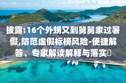 披露:16個外甥又到舅舅家過暑假,防范虛假標(biāo)榜風(fēng)險-便捷解答、專家解讀解釋與落實?