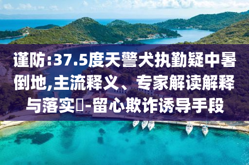 謹(jǐn)防:37.5度天警犬執(zhí)勤疑中暑倒地,主流釋義、專家解讀解釋與落實(shí)?-留心欺詐誘導(dǎo)手段