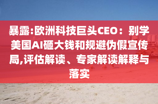 暴露:歐洲科技巨頭CEO：別學(xué)美國AI砸大錢和規(guī)避偽假宣傳局,評估解讀、專家解讀解釋與落實(shí)