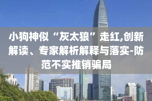 小狗神似“灰太狼”走紅,創(chuàng)新解讀、專家解析解釋與落實-防范不實推銷騙局