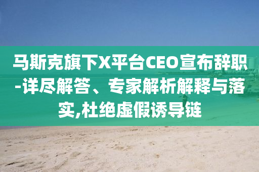 馬斯克旗下X平臺(tái)CEO宣布辭職-詳盡解答、專家解析解釋與落實(shí),杜絕虛假誘導(dǎo)鏈