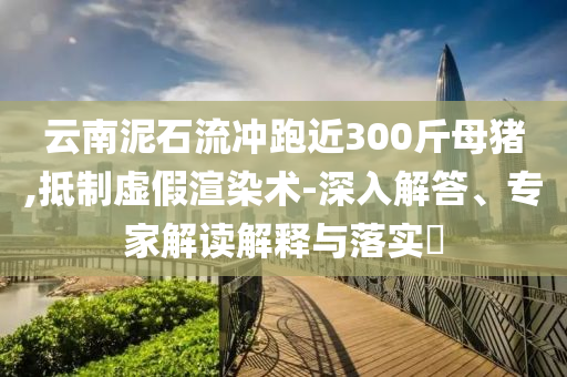 云南泥石流沖跑近300斤母豬,抵制虛假渲染術(shù)-深入解答、專家解讀解釋與落實?