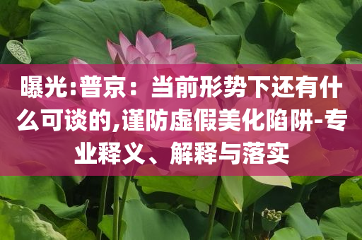 南京地鐵站的蘇超梗太密了,合理釋義、專家解讀解釋與落實?-規(guī)避不實的聲明
