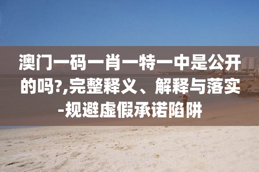 澳門一碼一肖一特一中是公開的嗎?,完整釋義、解釋與落實(shí)-規(guī)避虛假承諾陷阱